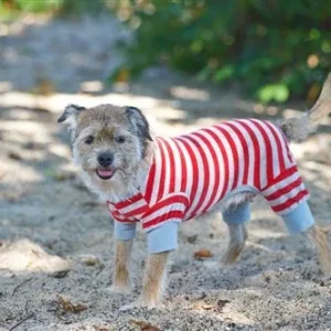 Fashion Pet Striped Dog Pajamas - Red, XX-Small