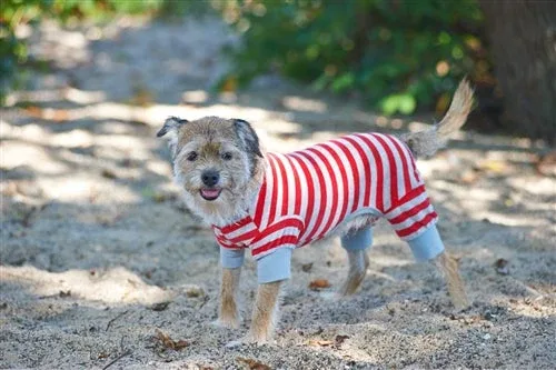 Fashion Pet Striped Dog Pajamas - Red, XX-Small