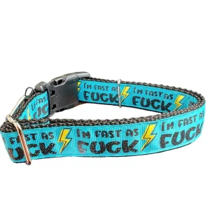 Fast As Fuck Nylon Dog Collar
