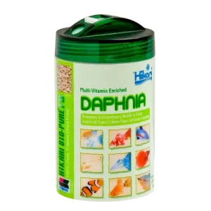 FD DAPHNIA