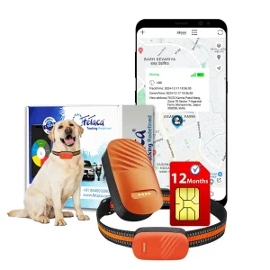 FeTaca Smart 4G GPS Tracker with Lifetime Free Tracking & 1 Year Data SIM Subscription for Dogs and Cats (Orange)