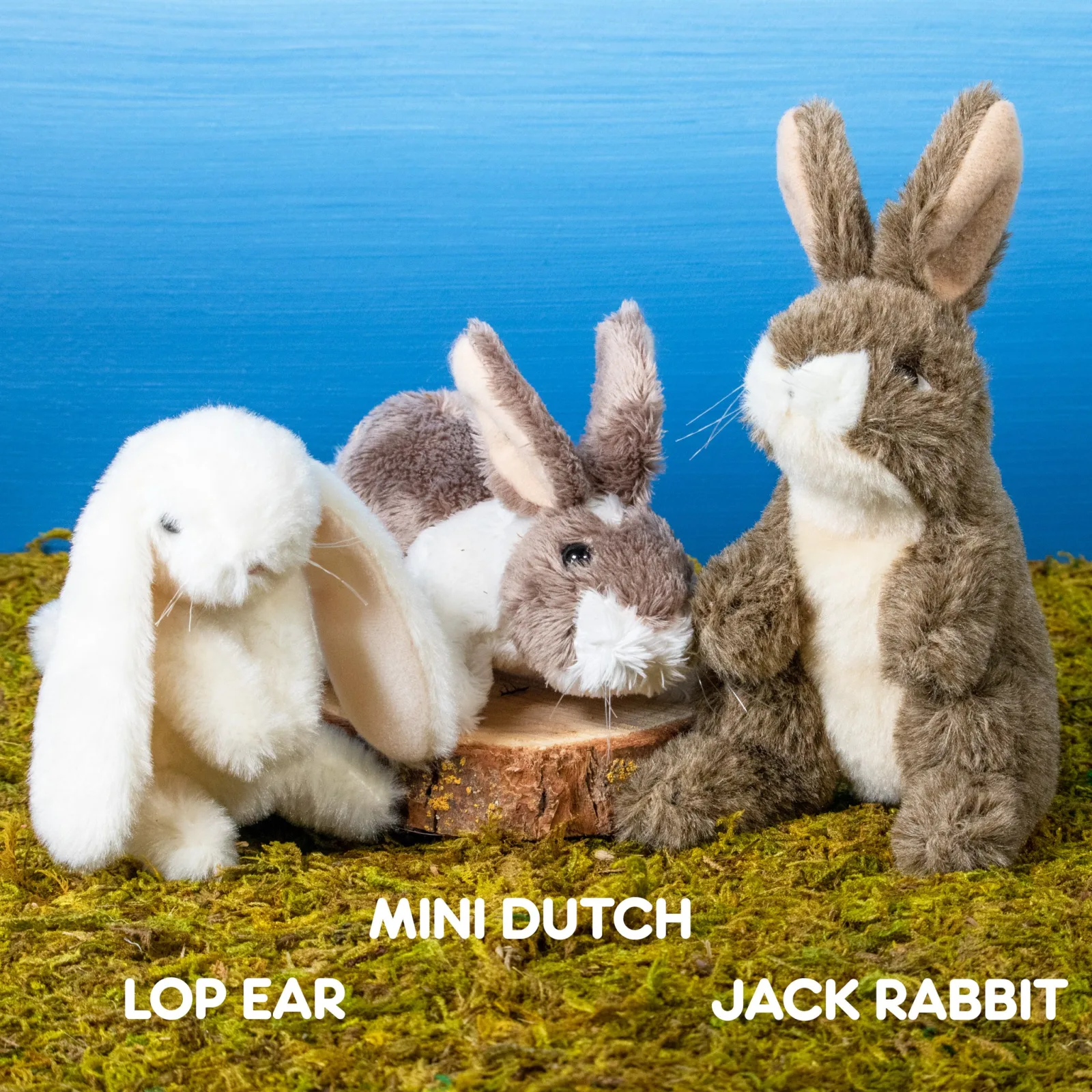 Finger Puppet - Lop Eared Rabbit - Image 2