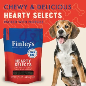 Finley's Barkery Hearty Selects Dog Treats Peanut Butter & Pumpkin 5 oz