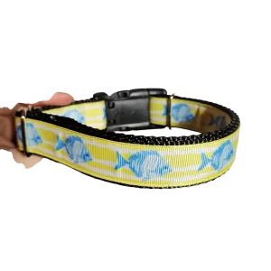 Fish On Yellow Stripes Nylon Dog Collar