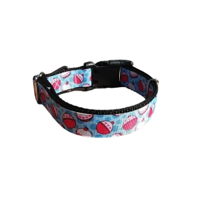 Fishing Bobbers Nylon Dog Collar