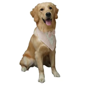Floof & Co Cotton Tux Bandana for Dogs (Peach)