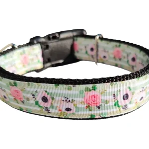 Flowers on Mint Stripes Nylon Dog Collar