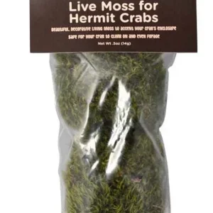 Fluker's Hermit Crab Live Moss, Green, 0.5 oz