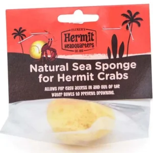Fluker's Hermit Crab Natural Sea Sponge Yellow