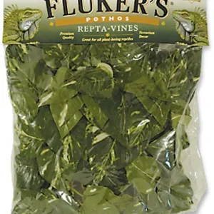 Fluker's Pothos Repta-Vines, Green, 6 ft