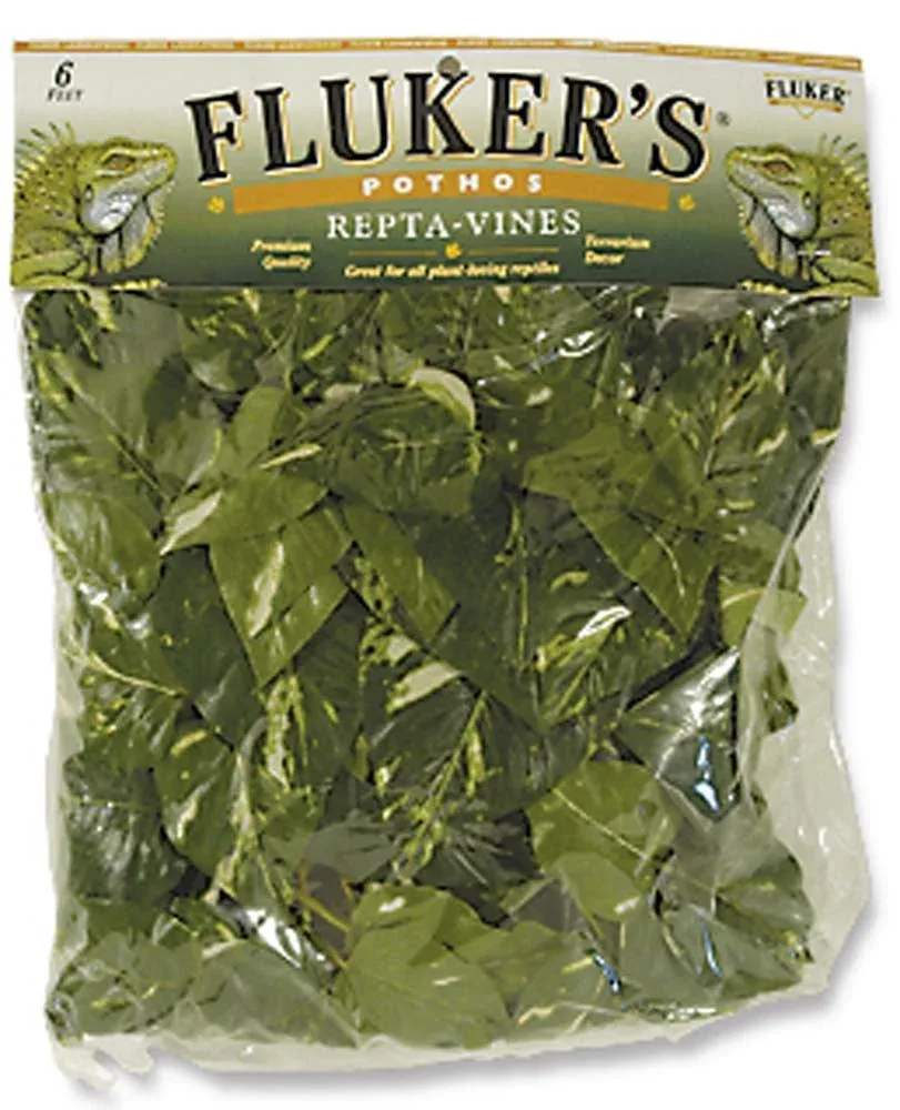 Fluker's Pothos Repta-Vines, Green, 6 ft