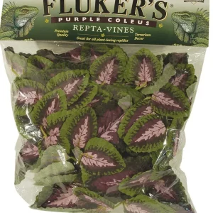Fluker's Purple Coleus Repta-Vines, Green, Purple, 6 ft