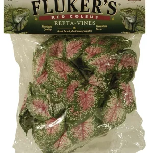 Fluker's Red Coleus Repta-Vines, Green, Red, 6 ft
