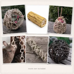 Forage & Fun Variety Pack
