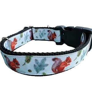 Forest Squirrel Nylon Dog Collar