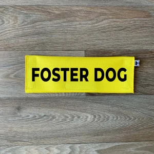 Foster Dog Leash Flag