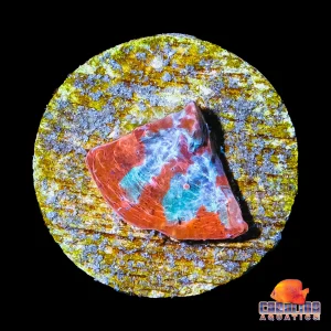 Frag - Blue Ice Lava Chalice