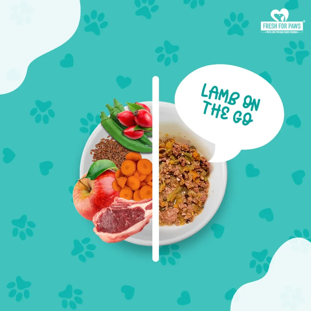Fresh For Paws Lamb On The Go Dog Wet Food (300g) - Image 2
