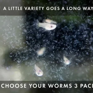 Freshwater Live Food Variety Pack – Choose Your Worms, 3 Pack