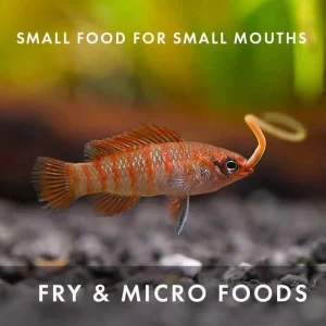 Freshwater Live Food Variety Pack – Fry and Micro Foods