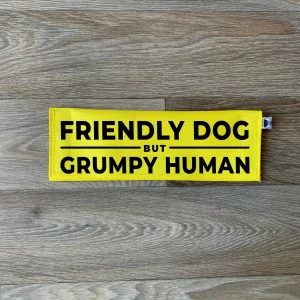 Friendly Dog but Grumpy Human Leash Flag