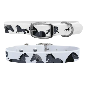 Friesian Dog Collar