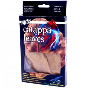 Fritz Catappa Leaves