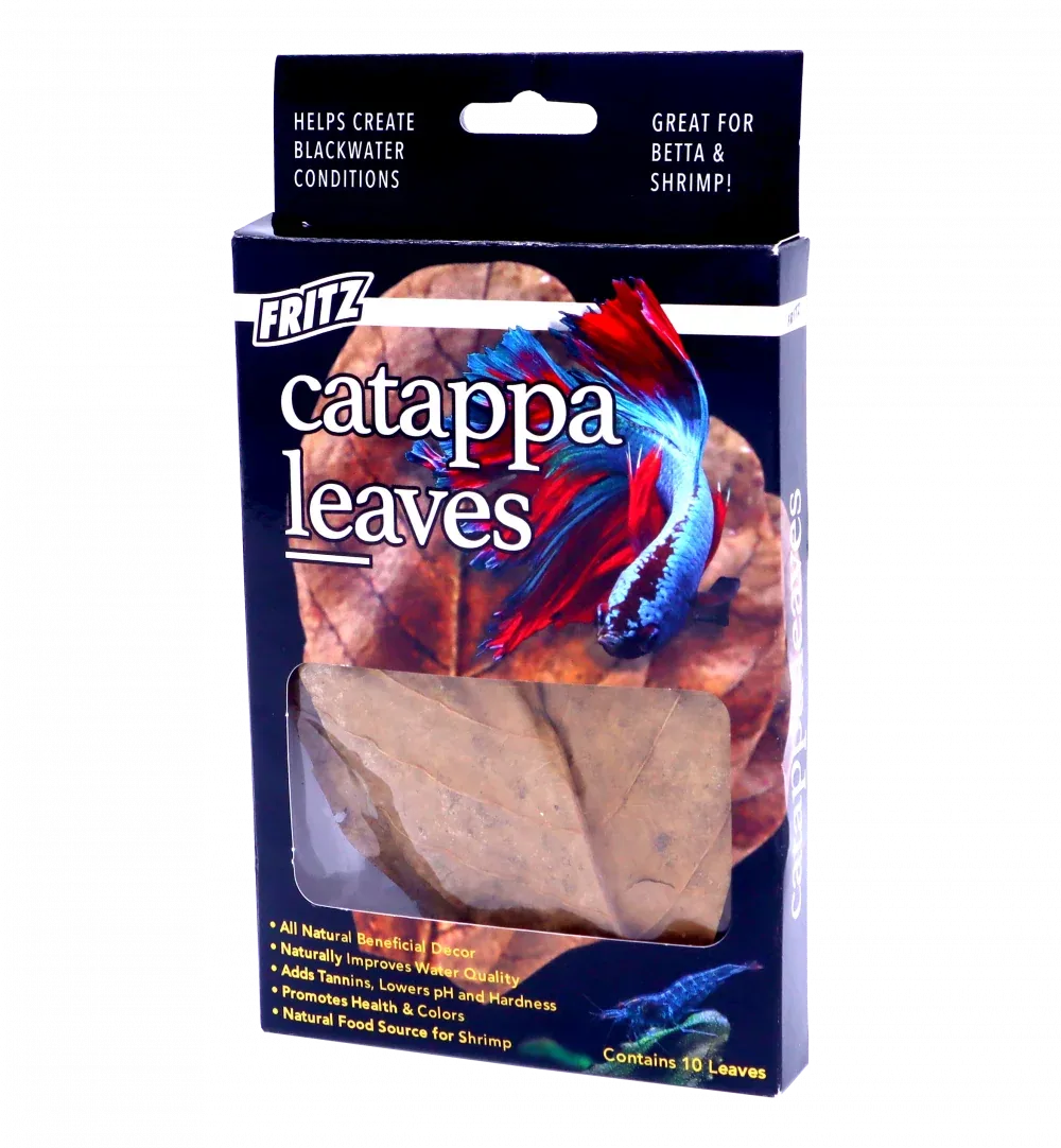 Fritz Catappa Leaves