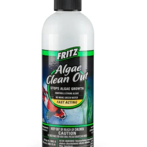 FritzPond Algae Clean Out
