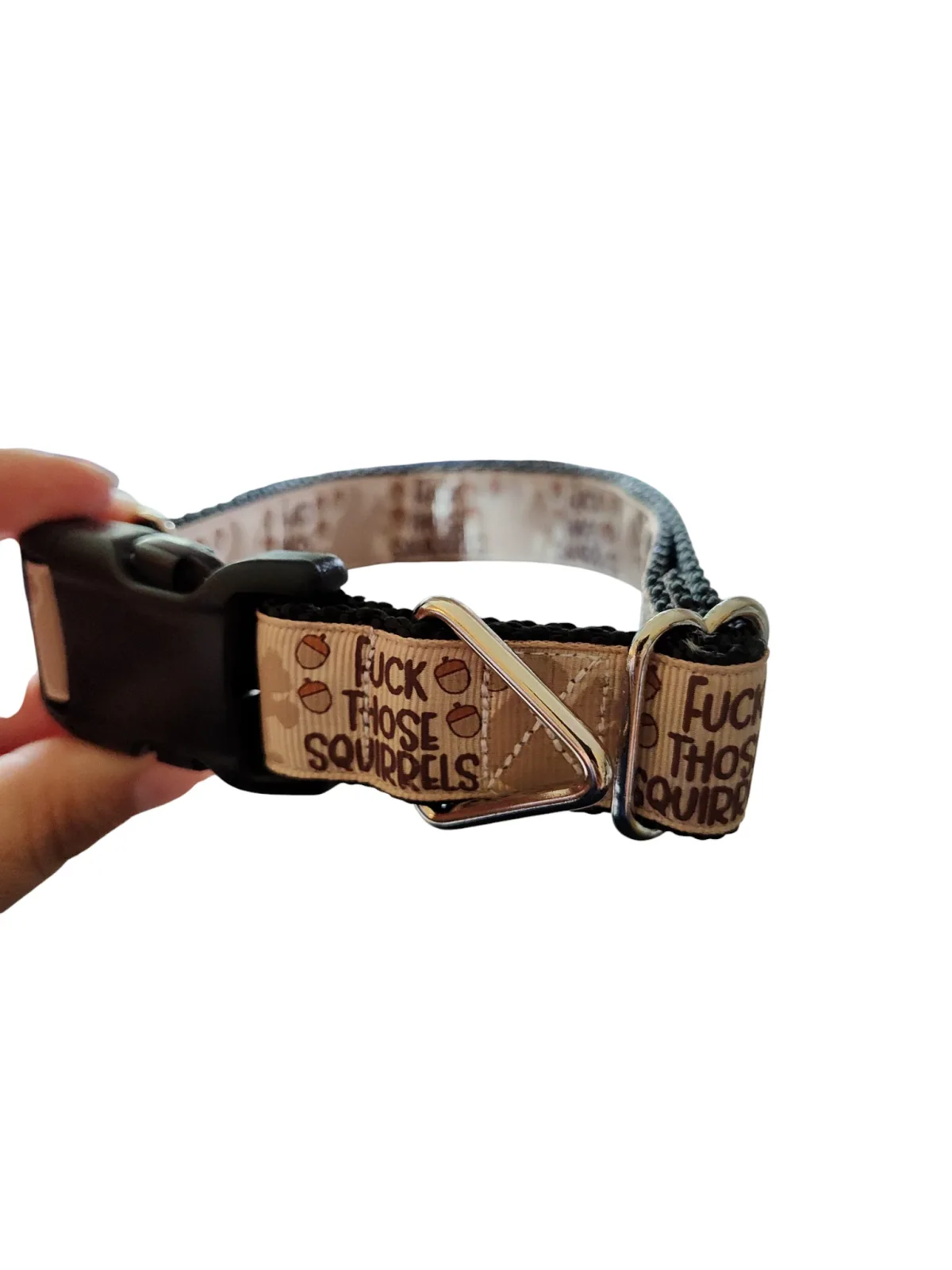 Fuck Those Squirrels Nylon Dog Collar - Image 2