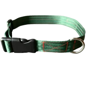 FurBuddies Myrtle Nylon Collar for Dogs (Green)