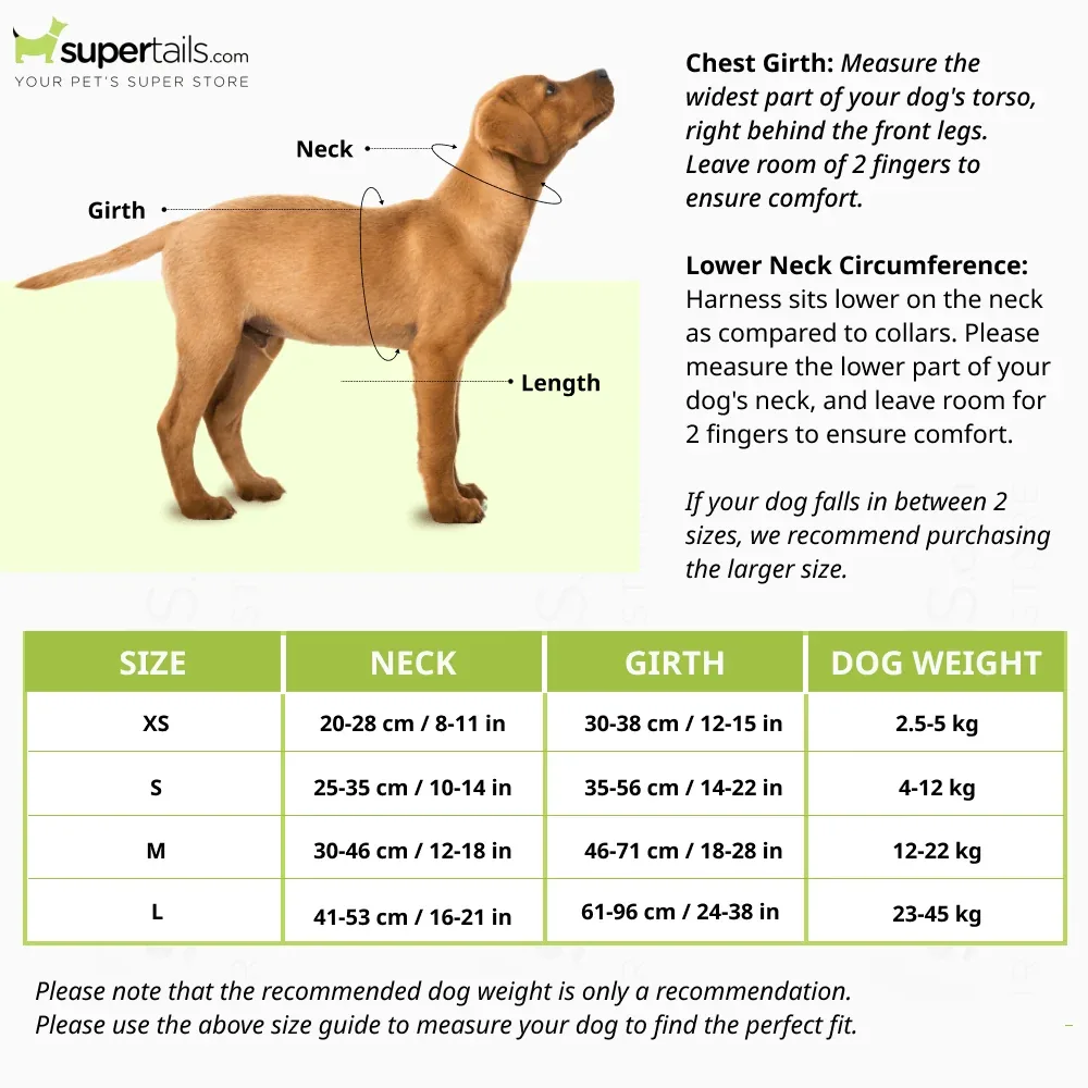 Furry & Co Bold Harness for Dogs (Mango) - Image 2