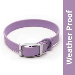 Furry & Co Weatherproof Collar for Dogs (Lilac)
