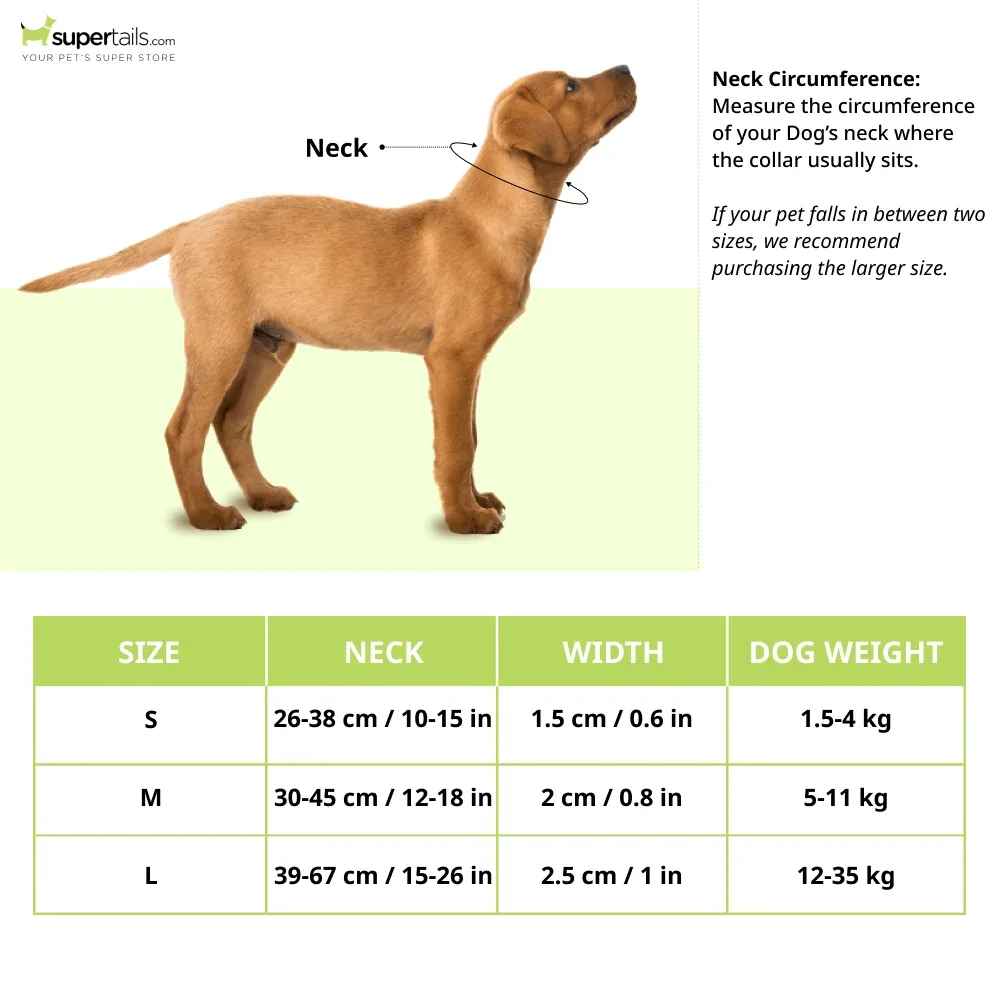 Furry & Co Wild One Comfort Collar for Dogs - Image 2