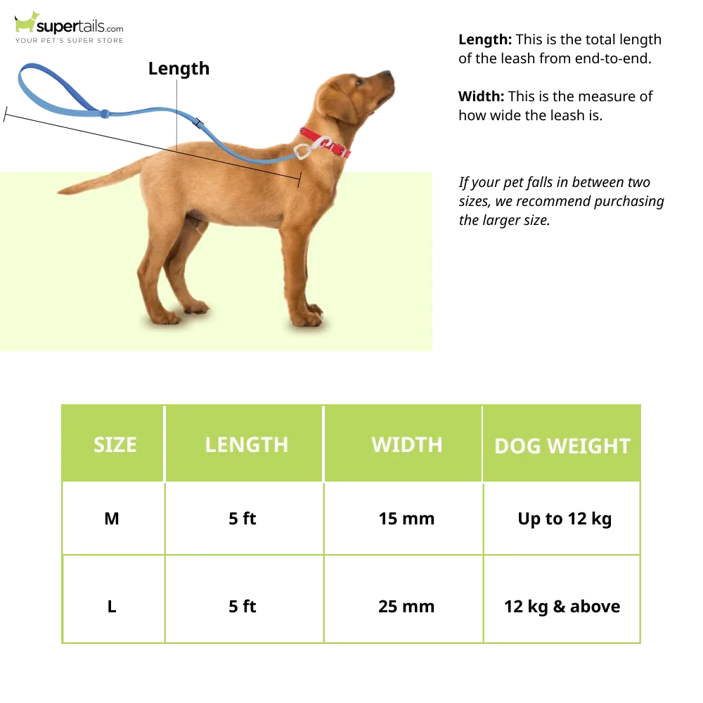 Furry & Co Wild One Comfort Leash for Dogs - Image 2