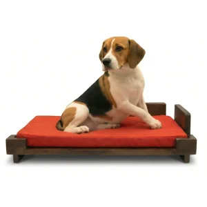 FurryLiving Barkly Bed with Cushion for Dogs (Dark Brown/Red Cushion)