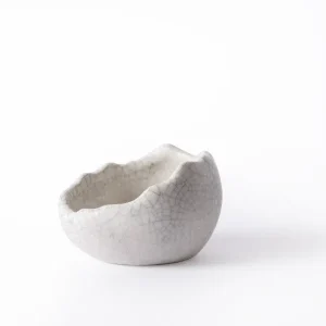 Galapagos Ceramic Egg Dish for Reptile Terrariums, Small 3 in x 2.75 in
