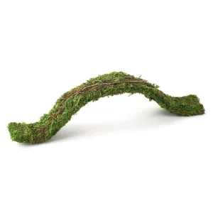 Galapagos Flexible Bridge Terrarium Ornament Fresh, Green, 2 ft
