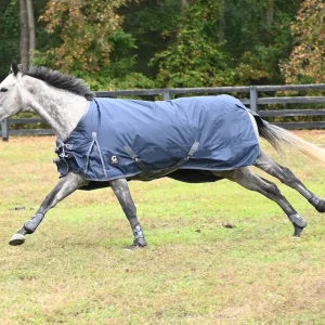 Gatsby 600D 300gm HW Waterproof Blanket
