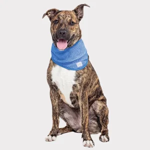 GF Pet Ice Band Dog Cooling Bandana - CoolFresh Technology
