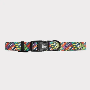 GF Pet Printed Dog Collar