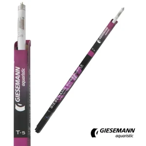 Giesemann 36" Super Purple T5 Bulb, 39W