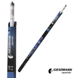 Giesemann 60" Actinic Blue T5 Bulb, 80W