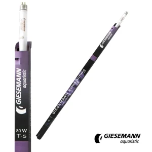 Giesemann 60" Super Actinic T5 Bulb, 80W