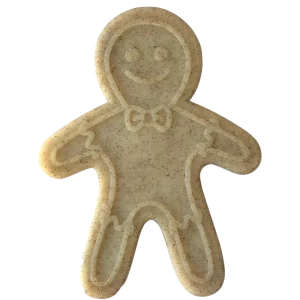 Gingerbread Man Nylon Dog Chew Toy for Aggressive Chewers
