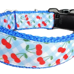 Gingham Cherries Nylon Dog Collar