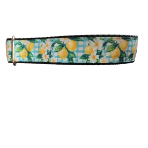 Gingham Lemons Nylon Dog Collar