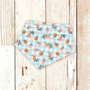 "Gingham Peaches" Dog Bandana