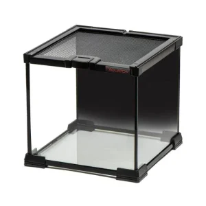 GLASS TERRARIUM CUBE WITH MESH TOP