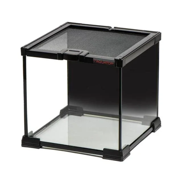 GLASS TERRARIUM CUBE WITH MESH TOP